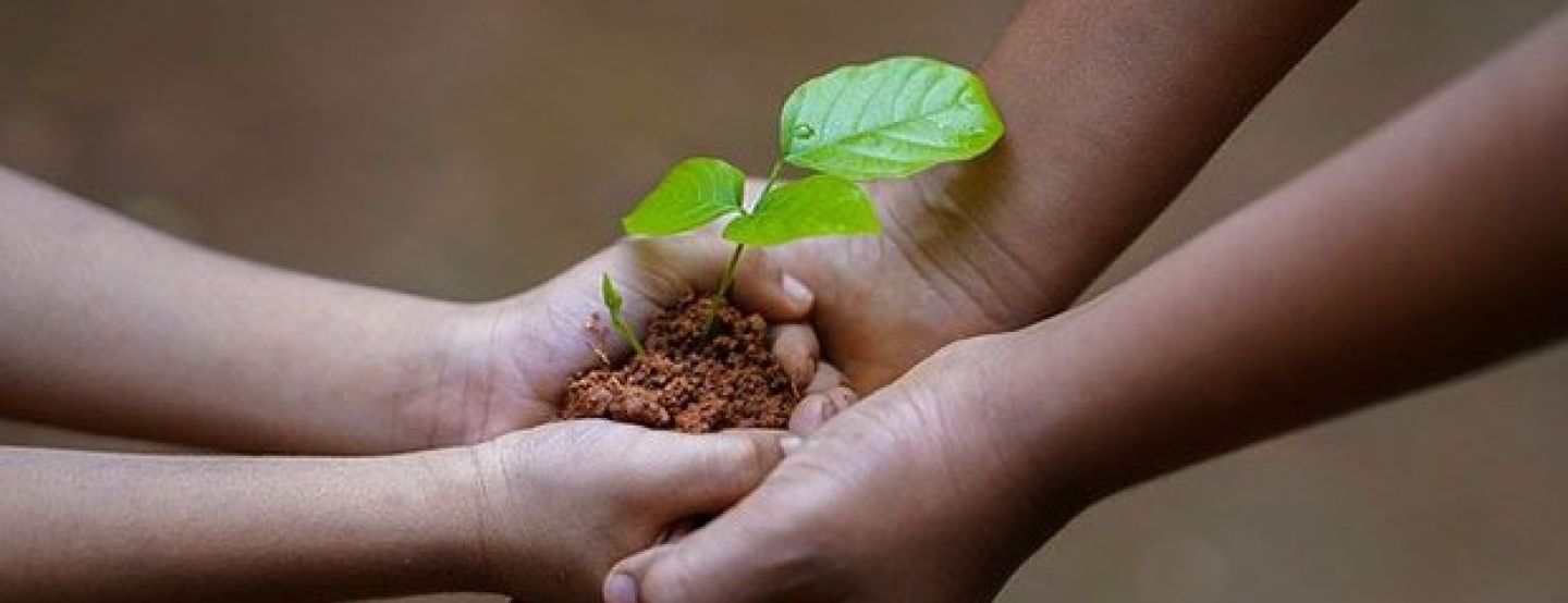 Iguá realiza live para tirar dúvidas sobre edital de projetos socioambientais